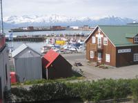 Der Hafen von Husavik