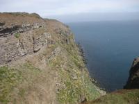 Brutplätze der Möwen und Papageientaucher