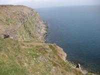 ... ein Paradies für die Vogelwelt