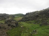 Lava-Gestein am Myvatnsee