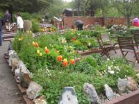 Petra's Steinhaus' mit einem wunderschönen Garten