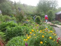 Der Garten von 'Petra's Steinhaus'