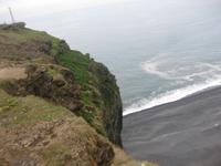 Die Halbinsel Dyrholaey ist ein Vogelparadies