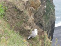 Hier wohnen unzählige Vogelarten