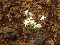 Island 14.-21.06.2016