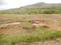 Island 14.-21.06.2016