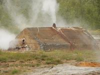 unter der Erde ist einiges los