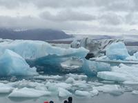Jökulsarlon