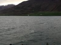 IMG_20170607_212957_012