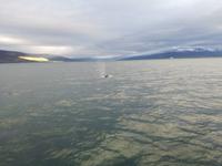 IMG_20170607_215116_1