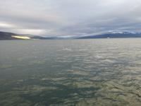 IMG_20170607_215118_1