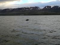 IMG_20170607_220046_1