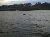 IMG_20170607_220047_3