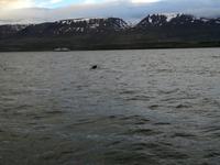 IMG_20170607_220048_1