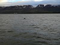 IMG_20170607_220048_4