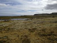 IMG_20170610_122356_1