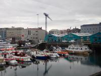 Hafen Reykjavik