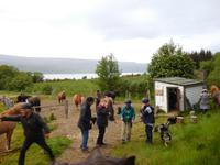 durch Hallormstadur & Nationalpark