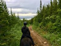 durch Hallormstadur & Nationalpark