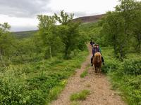 durch Hallormstadur & Nationalpark