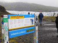 Schweinefelssjökull