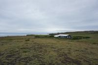 049 Wanderung zwischen Arnarstapi und Hellnar
