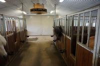 099 Pferdehof Flugumyri