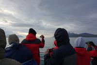 121 Akureyri Walsafari