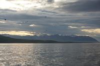 122 Akureyri Walsafari