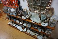 212 Petras Steinhaus