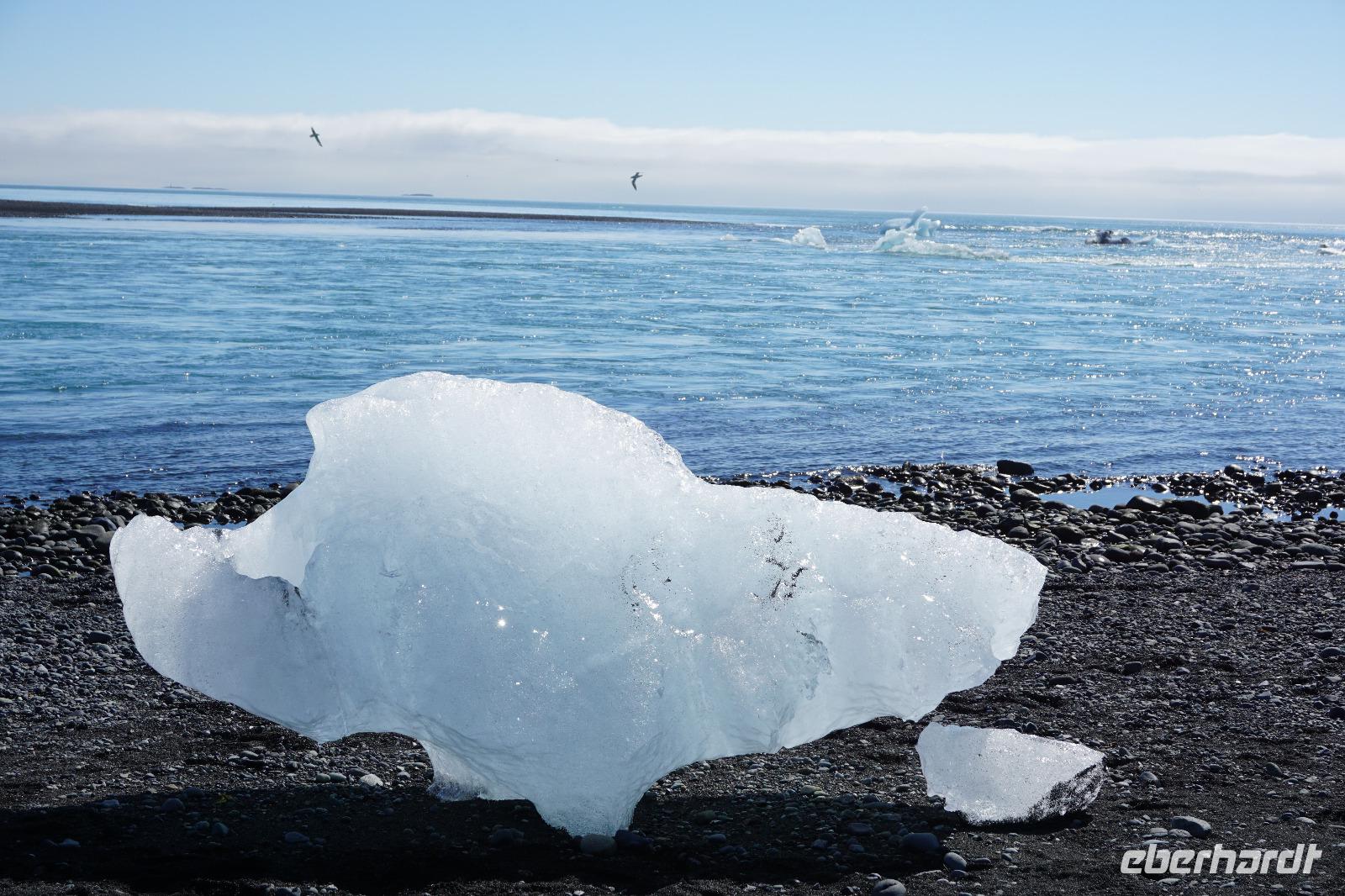 253 Gletscherlagune Jökulsarlon