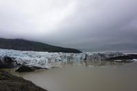 259 Nationalpark Skaftafell