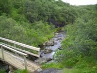 Unterwegs zum Wasserfall Svartifoss