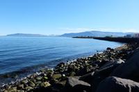 Strand von Reykjavik