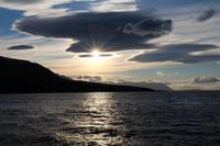 Walsafari auf dem Eyjafjörður