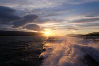 Walsafari auf dem Eyjafjörður