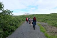 Skaftafell National Park 