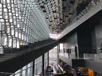 Die Harpa von Innen