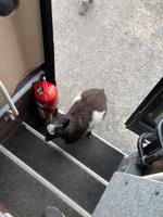 unser neuer Reisegast