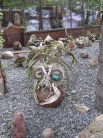 Exquisite Stück in Petras Steinmuseum