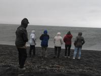 Am Strand - dort war es sehr windig