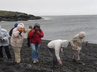 Beim Muschelnsammeln