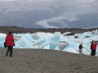 Schwimmende Eisblöcke in der Lagune