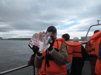 Mit Handschuhen ging es besser