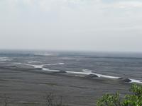 Zackenmützenmoos über Lavagestein