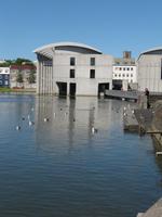 Überall waren Möwen