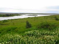 Island - Impressionen am 