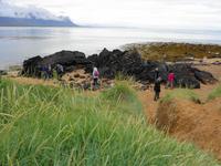 Island - Halbinsel Snæfellsnes - Búðir, Lavastrand