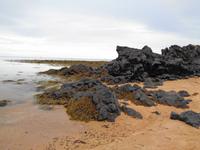Island - Halbinsel Snæfellsnes - Búðir, Lavastrand