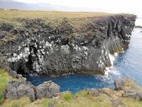 Island - Halbinsel Snæfellsnes - Arnarstapi, Dreizehenmövenfelsen 